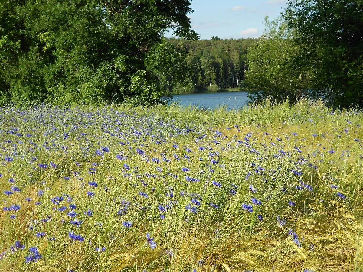 Ferienwohnungen Stroehlein Absberg 0*,